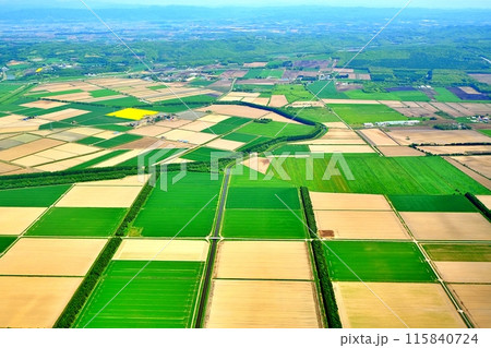 空撮した北海道の田園風景 空撮した北海道の田園風景 115840724
