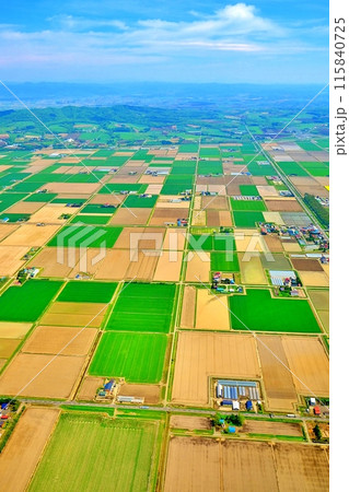 空撮した北海道の田園風景 115840725