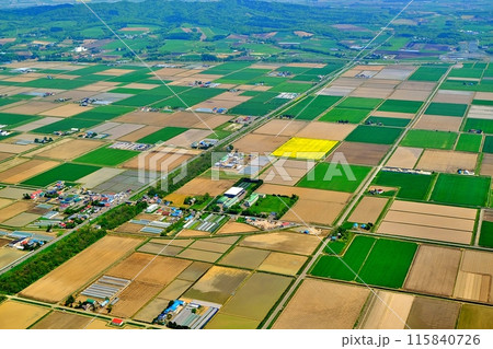 空撮した北海道の田園風景 空撮した北海道の田園風景 115840726