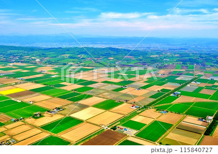 空撮した北海道の田園風景 空撮した北海道の田園風景 115840727