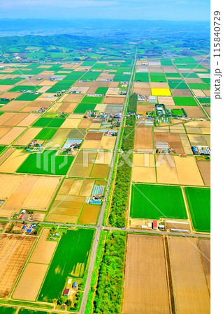 空撮した北海道の田園風景 115840729