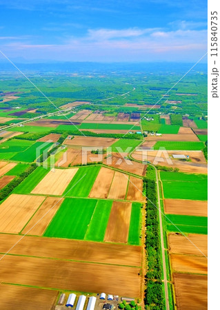空撮した北海道の田園風景 115840735