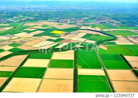 空撮した北海道の田園風景 115840737