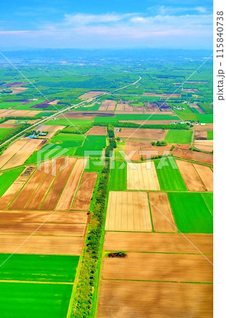 空撮した北海道の田園風景 115840738