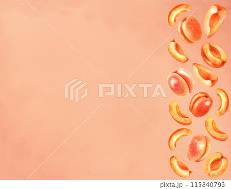 Rectangular fruit frame of orange apricots on a colored background. Watercolor illustration for harvest, template for liqueur, amaretto, perfume, oil, aromatherapy, massage, juice, drinks, cooking Rectangular fruit frame of orange apricots on a colored background. Watercolor illustration for harvest, template for liqueur, amaretto, perfume, oil, aromatherapy, massage, juice, drinks, cooking 115840793