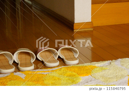 玄関マットとスリッパ 115840795