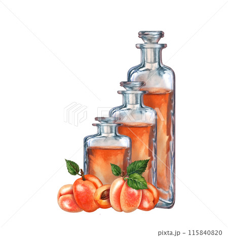 Craft vintage glass bottle with brown liquid, bright juicy apricots, pits. Watercolor illustration of liqueur, amaretto, perfume, massage, aromatic oils, aromatherapy, alcohol, alchemy, drinks 115840820