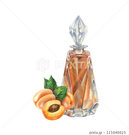 Craft vintage glass bottle with brown liquid, bright juicy apricots, pits. Watercolor illustration of liqueur, amaretto, perfume, massage, aromatic oils, aromatherapy, alcohol, alchemy, drinks Craft vintage glass bottle with brown liquid, bright juicy apricots, pits. Watercolor illustration of liqueur, amaretto, perfume, massage, aromatic oils, aromatherapy, alcohol, alchemy, drinks 115840823