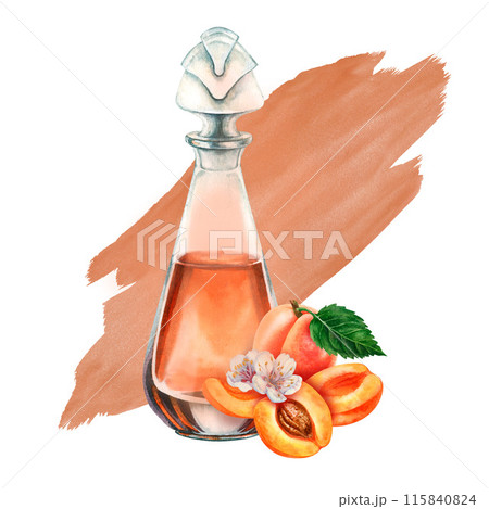 Craft vintage glass bottle with brown liquid, bright juicy apricots, pits. Watercolor illustration of liqueur, amaretto, perfume, massage, aromatic oils, aromatherapy, alcohol, alchemy, drinks Craft vintage glass bottle with brown liquid, bright juicy apricots, pits. Watercolor illustration of liqueur, amaretto, perfume, massage, aromatic oils, aromatherapy, alcohol, alchemy, drinks 115840824