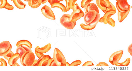 Seamless border with bright juicy apricots. Watercolor illustration of liqueur, amaretto, perfume, aromatic oils for aromatherapy, alcohol, alchemy, drinks 115840825