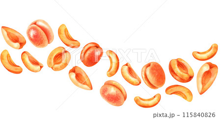 Seamless border with bright juicy apricots. Watercolor illustration of liqueur, amaretto, perfume, aromatic oils for aromatherapy, alcohol, alchemy, drinks Seamless border with bright juicy apricots. Watercolor illustration of liqueur, amaretto, perfume, aromatic oils for aromatherapy, alcohol, alchemy, drinks 115840826