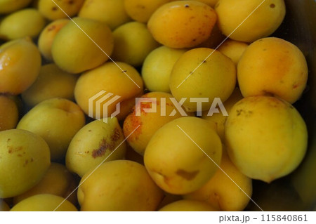 梅シロップの手作り　素材　背景 115840861