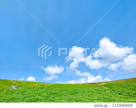 さわやかな夏の高原風景（美ヶ原高原） 115840889