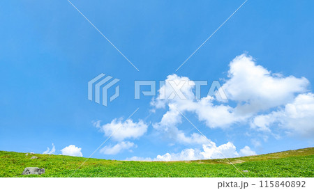 さわやかな夏の高原風景（美ヶ原高原） 115840892