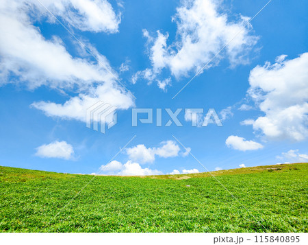 さわやかな夏の高原風景(美ヶ原高原) さわやかな夏の高原風景(美ヶ原高原) 115840895