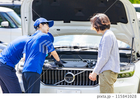 自動車のエンジンルームを点検する作業員 115841028