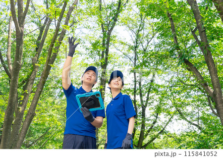 タブレットを見ながら森林を調査する作業員 115841052
