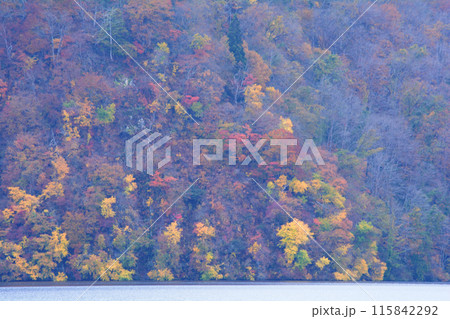 沼沢湖へ行きました　＃91 115842292