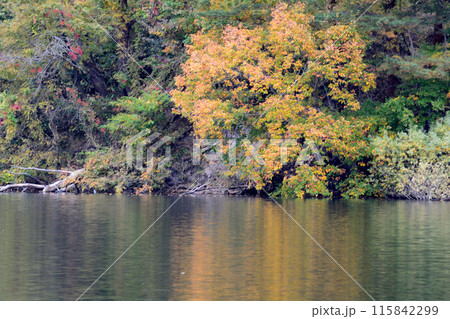 沼沢湖へ行きました　＃95 115842299