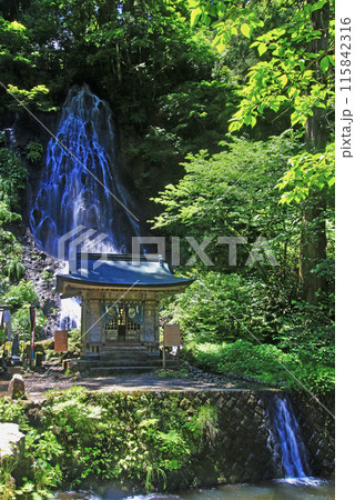 須賀の滝・羽黒山・（山形県・鶴岡市） 115842316