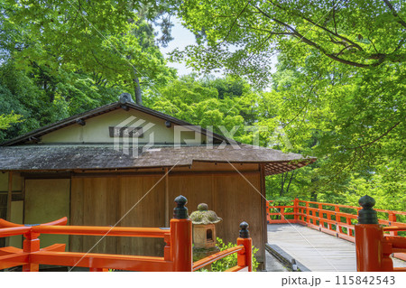 京都　北野天満宮　御土居の青もみじ　茶室梅交軒 115842543