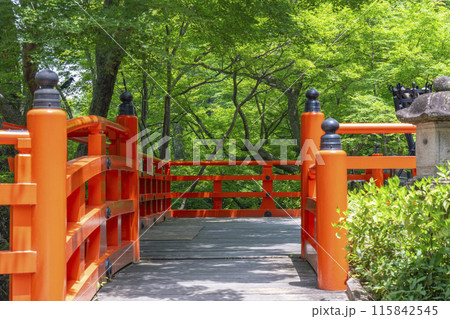 京都 北野天満宮 史跡御土居の青もみじ 朱色の欄干 京都 北野天満宮 史跡御土居の青もみじ 朱色の欄干 115842545