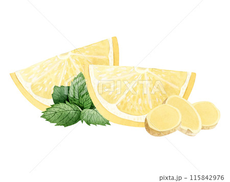 Lemon slices with ginger and spearmint watercolor illustration in light yellow and green colors isolated on white. Hand drawn cut ingredients of fruits, herbs and vegetables clipart 115842976