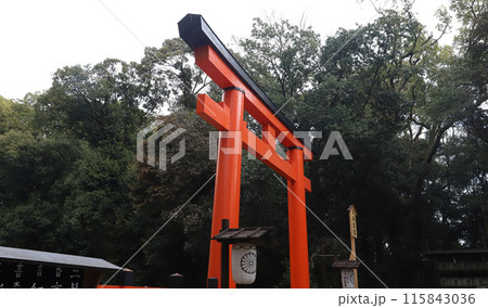 上賀茂神社　賀茂別雷神社　京都 115843036