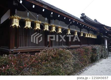 上賀茂神社　賀茂別雷神社　京都 115843037