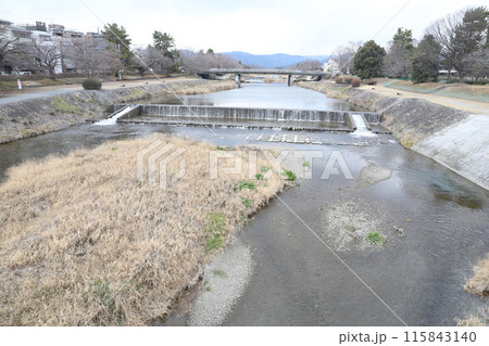 鴨川　加茂川　賀茂川　下鴨神社　賀茂御祖神社　京都 115843140