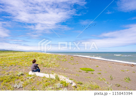 夏のオホーツク海と草原　流木に座り渡り鳥を見つめる女性 115843394