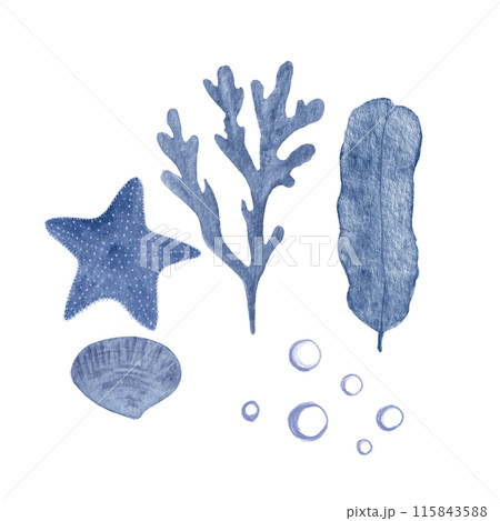 Starfish, seaweed, bubbles and a shell blue monochromatic watercolor set isolated on white. Hand-drawn illustration for decor, cards, restaurant menu, stickers, tourism, tape, dishes, room design 115843588