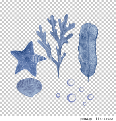 Starfish, seaweed, bubbles and a shell blue monochromatic watercolor set isolated on white. Hand-drawn illustration for decor, cards, restaurant menu, stickers, tourism, tape, dishes, room design 115843588