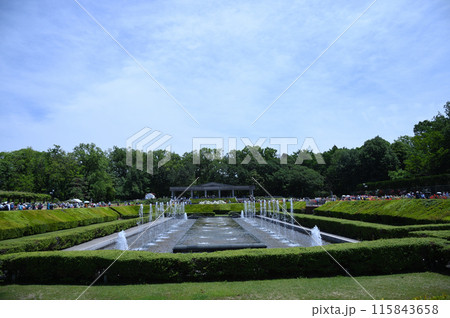 神代植物公園　バラ 115843658