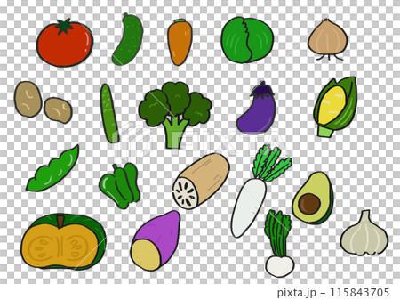 ゆるい手描きイラスト 野菜のセットのイラスト素材 [115843705] - PIXTA