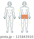 男性の脱毛全身イラスト 115843910