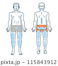 男性の脱毛全身イラスト 115843912