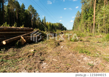 Deforestation for laying a high-voltage line 115844015