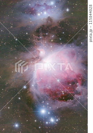 オリオン大星雲（M42） 115844028
