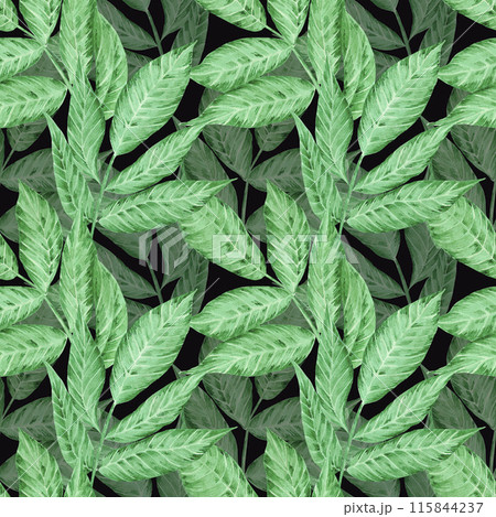 Hand drawn watercolor tropical leaves seamless pattern isolated on black background. Can be used for textile, fabric and other printed products. Hand drawn watercolor tropical leaves seamless pattern isolated on black background. Can be used for textile, fabric and other printed products. 115844237