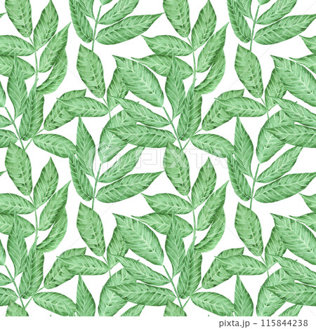 Hand drawn watercolor tropical leaves seamless pattern isolated on white background. Can be used for textile, fabric and other printed products. 115844238
