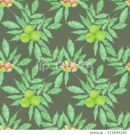 Hand drawn watercolor walnut with green leaves seamless pattern isolated on white background. Can be used for textile, fabric, wrapping and other printed products. Hand drawn watercolor walnut with green leaves seamless pattern isolated on white background. Can be used for textile, fabric, wrapping and other printed products. 115844240
