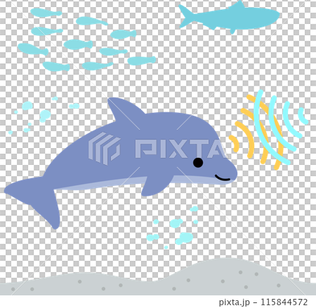 超音波を放ちながら泳ぐイルカのデフォルメイラスト 115844572