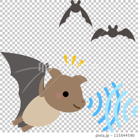 蝙蝠飛行時發出聲波,進行迴聲定位 蝙蝠飛行時發出聲波,進行迴聲定位 115844590