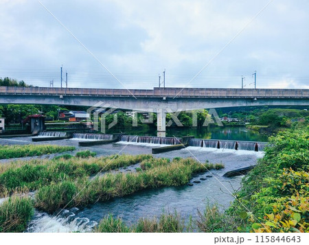 広瀬川の風景 出水市 鹿児島県 広瀬川の風景 出水市 鹿児島県 115844643