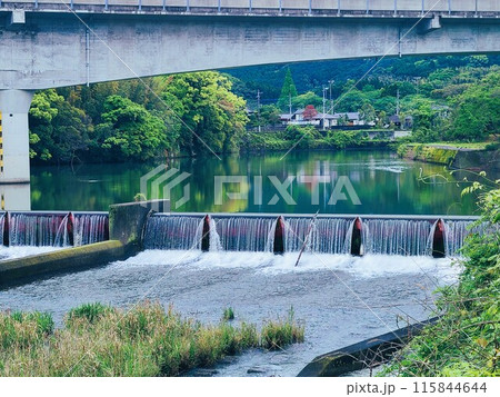 広瀬川の風景　出水市　鹿児島県 115844644