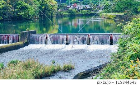 広瀬川の風景 出水市 鹿児島県 広瀬川の風景 出水市 鹿児島県 115844645
