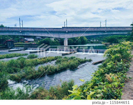 広瀬川の風景 出水市 鹿児島県 広瀬川の風景 出水市 鹿児島県 115844651