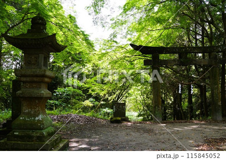 忠元神社 伊佐市 鹿児島県 忠元神社 伊佐市 鹿児島県 115845052