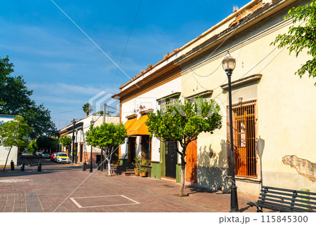 Traditional houses in San Pedro Tlaquepaque - Guadalajara, Mexico 115845300